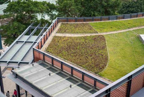 Yeşil Çatı Sistemleri