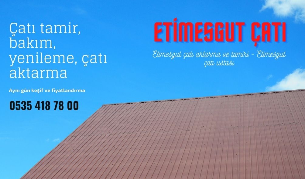 Etimesgut çatı aktarma ve tamiri - Etimesgut çatı ustası
